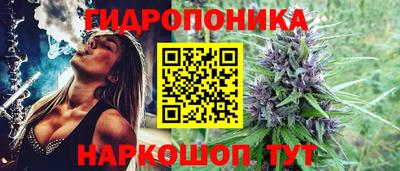 прущие крисы Донской